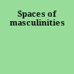 Spaces of masculinities