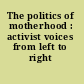 The politics of motherhood : activist voices from left to right /