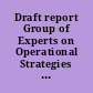 Draft report Group of Experts on Operational Strategies for the Advancement of Women up to the Year 2000 /