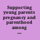 Supporting young parents pregnancy and parenthood among young people from care /