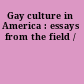 Gay culture in America : essays from the field /