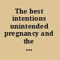 The best intentions unintended pregnancy and the well-being of children and families /
