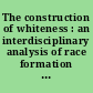 The construction of whiteness : an interdisciplinary analysis of race formation and the meaning of a white identity /