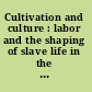 Cultivation and culture : labor and the shaping of slave life in the Americas /