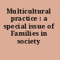 Multicultural practice : a special issue of Families in society