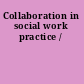 Collaboration in social work practice /