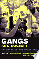 Gangs and society : alternative perspectives /