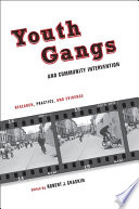 Youth gangs and community intervention research, practice, and evidence /