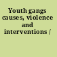 Youth gangs causes, violence and interventions /