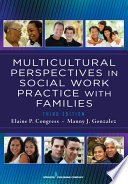 Multicultural perspectives in social work practice with families