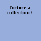 Torture a collection /