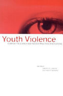 Youth violence : current research and recent practice innovations /