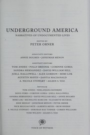 Underground America : narratives of undocumented lives /