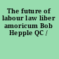 The future of labour law liber amoricum Bob Hepple QC /