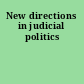 New directions in judicial politics