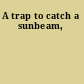 A trap to catch a sunbeam,