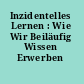 Inzidentelles Lernen : Wie Wir Beiläufig Wissen Erwerben /