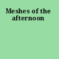 Meshes of the afternoon