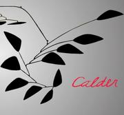 Calder : gravity and grace /
