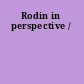 Rodin in perspective /