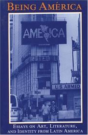Being América : essays on art, literature and identity from Latin America /
