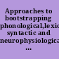 Approaches to bootstrapping phonological,lexical, syntactic and neurophysiological aspects of early language acquisition.