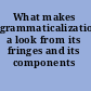 What makes grammaticalization? a look from its fringes and its components /