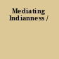 Mediating Indianness /