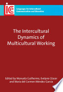 The intercultural dynamics of multicultural working