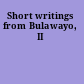 Short writings from Bulawayo, II