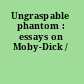 Ungraspable phantom : essays on Moby-Dick /