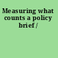 Measuring what counts a policy brief /