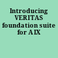 Introducing VERITAS foundation suite for AIX