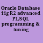 Oracle Database 11g R2 advanced PL/SQL programming & tuning /
