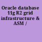 Oracle database 11g R2 grid infrastructure & ASM /