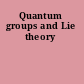 Quantum groups and Lie theory