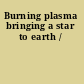 Burning plasma bringing a star to earth /