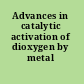 Advances in catalytic activation of dioxygen by metal complexes