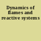 Dynamics of flames and reactive systems