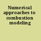 Numerical approaches to combustion modeling