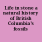 Life in stone a natural history of British Columbia's fossils /