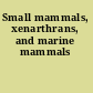Small mammals, xenarthrans, and marine mammals