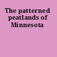 The patterned peatlands of Minnesota