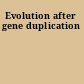 Evolution after gene duplication