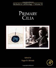 Primary cilia /