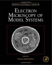 Electron microscopy of model systems /