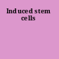 Induced stem cells