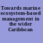 Towards marine ecosystem-based management in the wider Caribbean