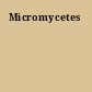 Micromycetes