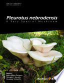 Pleurotus Nebrodensis : a very special mushroom /